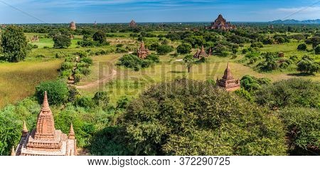 Skyline Of Bagan Temples, Myanmar. Dhammayangyi Temple On The Right.