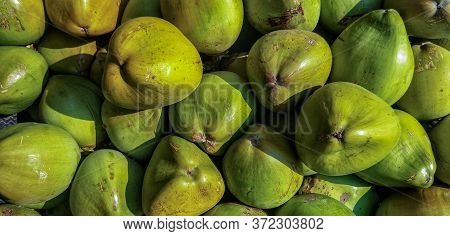 Closeup View Of Bunch Of Green Tender Coconuts, Top View, Full Frame, Horizontal Picture, Beautiful 