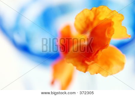 Decorazione blu