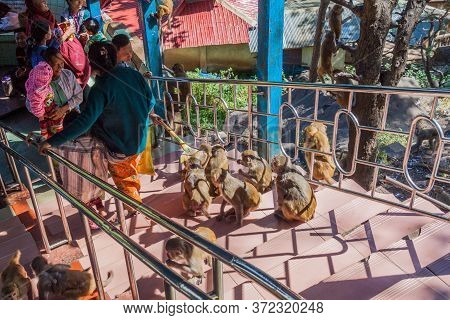 Mt Popa, Myanmar - December 8, 2016: People And Macaques At The Stairway To Mt Popa, Myanmar