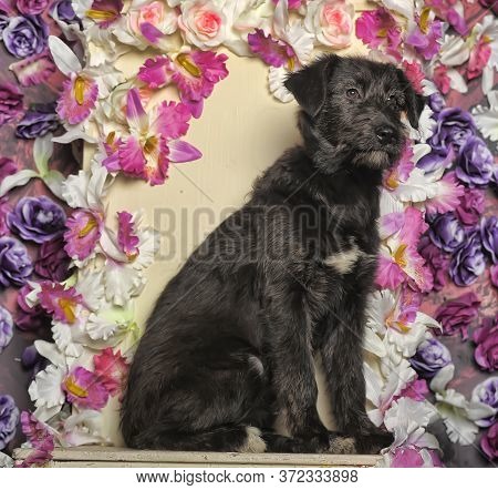 Black Puppy On A Floral Background Close Up