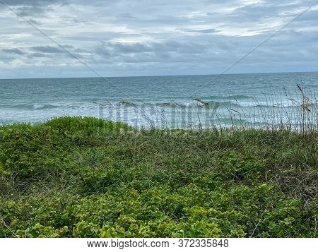 Sea Oats  Overlooking The Beach And Ocean On A Beautiful Cloudy Day Along The Shoreline On North Hut