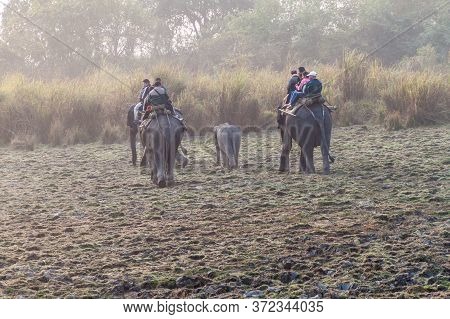 Kaziranga, India - January 30, 2017: Tourists During The Elephant Safari In Kaziranga National Park,