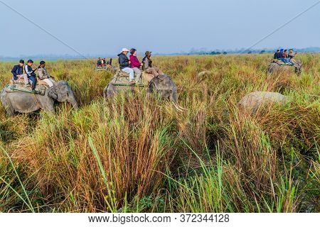 Kaziranga, India - January 30, 2017: Tourists During The Elephant Safari In Kaziranga National Park,