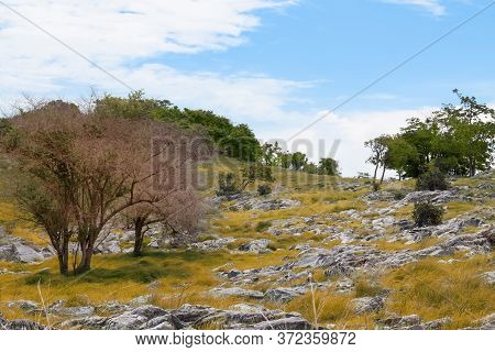 The Mountains With Grass And Rocks As Well As Trees Under The Blue Sky With Little Clouds,koh Sichan