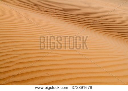 Sand Dunes Of Sharqiya Wahiba Sands, Oman