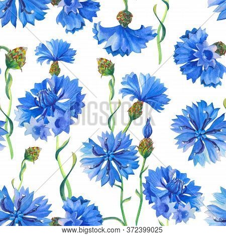 Blue Cornflowers.watercolor Floral Seamless Pattern. Illustration With Flowers For Fabric, Texile, S