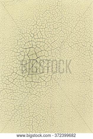 Dry Cracked Clay Surface Texture / Abstract Background