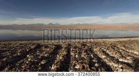 View Of Chaxa Lagoon In Salt Flat