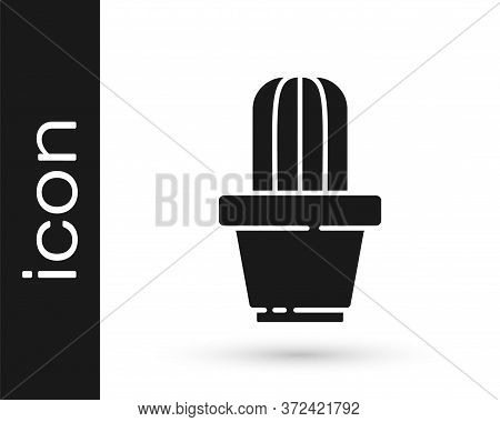 Grey Cactus And Succulent In Pot Icon Isolated On White Background. Plant Growing In A Pot. Potted P