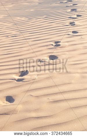 Foot Tracks On The Desert Sand On A Clear, Sunny Day.