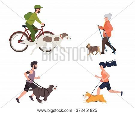 Sport And Activity With Dogs Flat Illustration. Stock Vector. People Running, Walking And Riding Bic