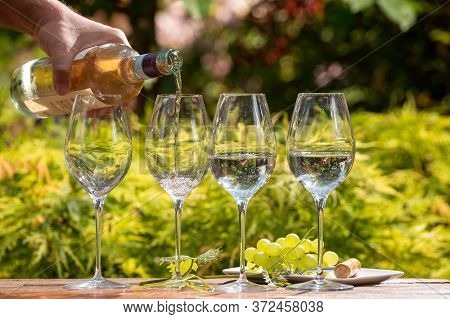 Tasting Of Pinot Gridgio Rose Wine On Winery Terrace In Veneto, Italy. Glasses Of Cold Dry Wine Serv