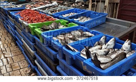 Ordinary Fish Market In A Small Fishing Town In Israel
