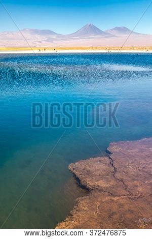 Cejar Lagoon And Licancabur Volcano In Atacama, Chile.