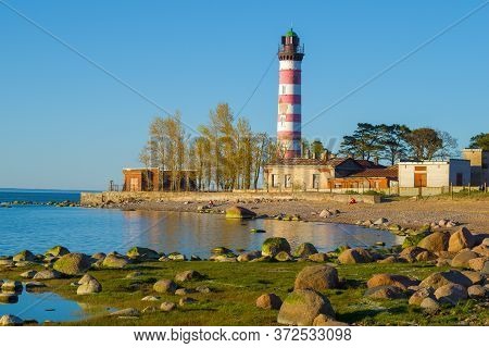May Evening At The Shepelevskiy Lighthouse. Leningrad Region, Russia