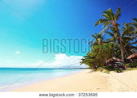 Tropisk strand med palmer på solrig dag. Syd for Bali, Jimbaran beach