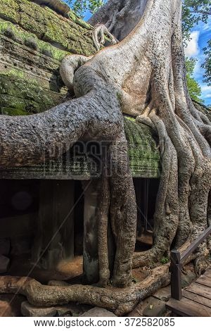 The Temple Is Partially Recovered From The Jungle. Many Ruins Have Been Reconstructed Some Remain A 