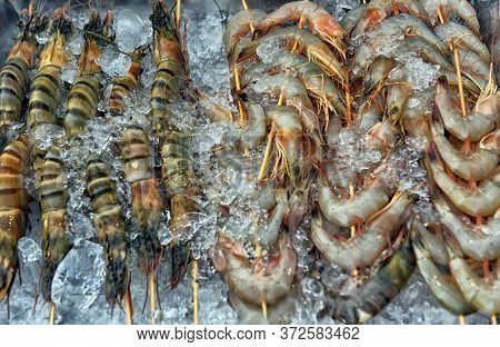 Fresh Prawns  In Ice Ready To Cook
