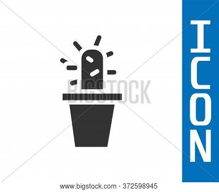 Grey Cactus And Succulent In Pot Icon Isolated On White Background. Plant Growing In A Pot. Potted P