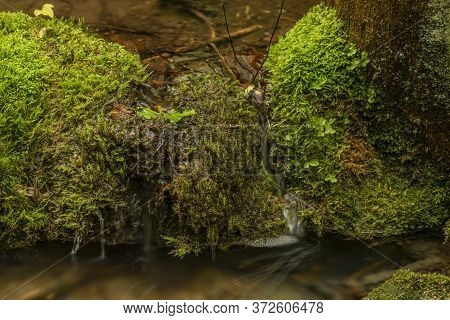 Cisarska Gorge With Clean Creek And Waterfall Near Berounka River