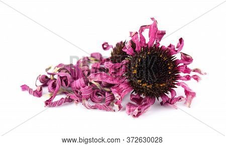 Dried Echinacea Flowers, Isolated On White Background. Petals Of Echinacea Purpurea. Medicinal Herbs