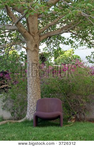 unter dem Baum
