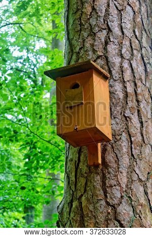 Wooden Bird House (nestbox) On A Tree