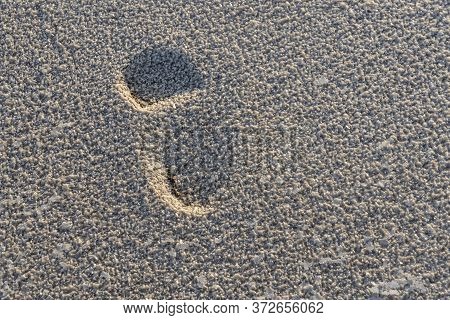 Close Up Of Salt Of The Salt Plains Of Asale Lake In The Danakil Depression In Ethiopia, Africa.
