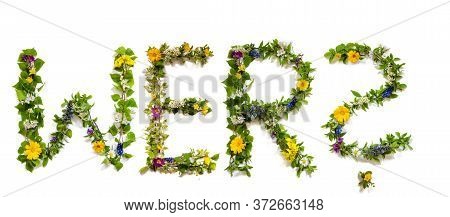 Flower And Blossom Letter Building Word Wer Means Who