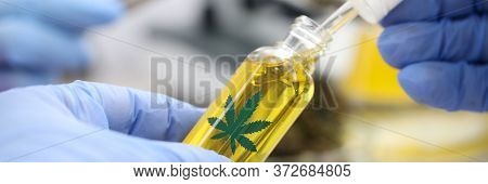 Gloved Pharmacist Opens Bottle Hemp Oil Research. Hemp-based Clinical Trials. Products Containing Ca
