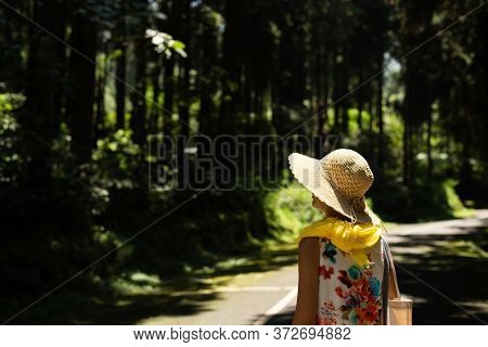 traveling Asian woman hiking in the forest at Xitou, Nantou, Taiwan