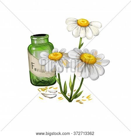 Feverfew Or Chamomile Or Camomile Daisy-like Plant. Tanacetum Parthenium Digital Art Illustration. B