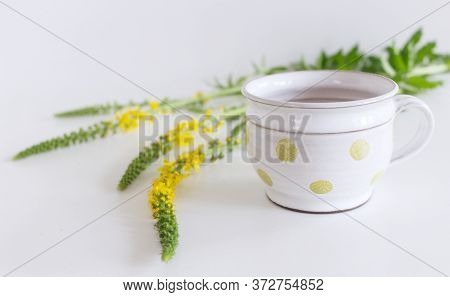 A Cup Of Agrimony Tea With Blooming Blurred Agrimony Plant.natural Remedy.food And Healthy Concept.