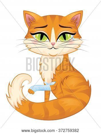 Cute Redhead Cat With Green Eyes Isolated On White.