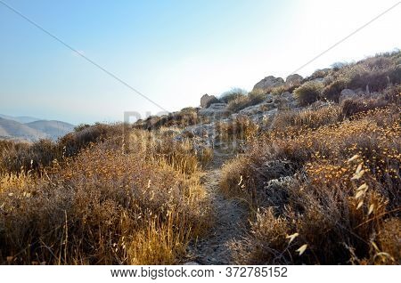 Wadi Kelt Or Nahal Prat, In The Judean Desert, Israel. Early Autumn In A Nature Reserve. Selective F