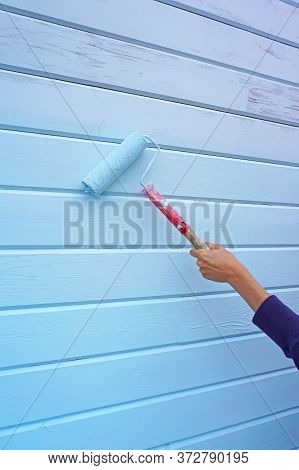 Woman Using Paint Roller To Paint Wall In Blue Paint