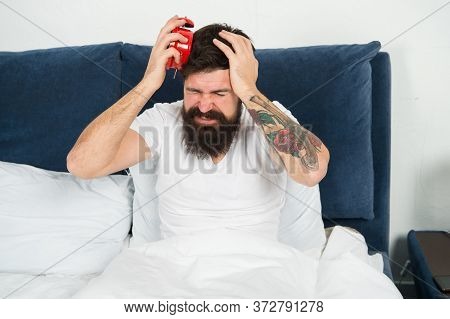 My Clock Is Running Late. Late Riser Suffer Headache. Stressed Hipster Hold Alarm Clock In Bed. Bear