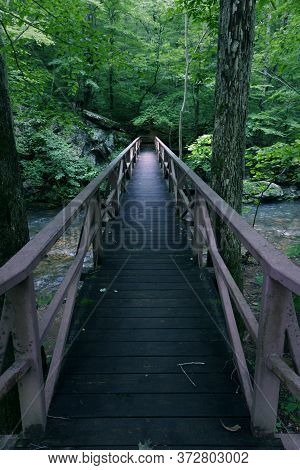 A Slick Narrow Footbridge Crosses A River In The Riparian Forest In The Mountains.