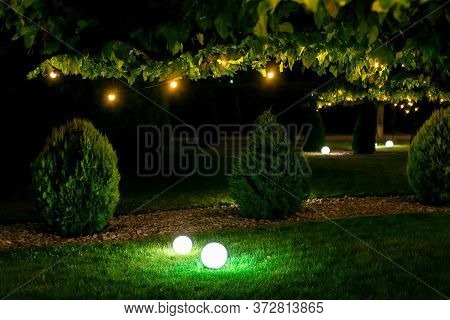 Illumination Backyard Light Garden With Electric Ground Sphere Lantern With Stone Mulch And Thuja Bu