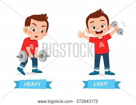 Cute Example Of Opposite Word Antonym For Kid