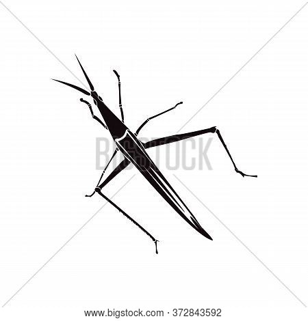 Black Grasshopper Silhouette On A White Background