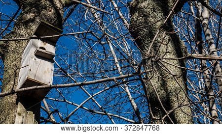 Birdhouse For Birds Color Blue Sky Color