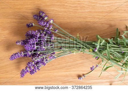 Lavendel Bouquet Isolated On Wooden Surface - Flower