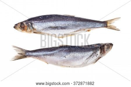 Pair Of Frozen Atlantic Herrings Isolated On White Background