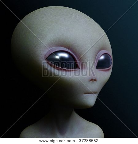 Šedá Alien