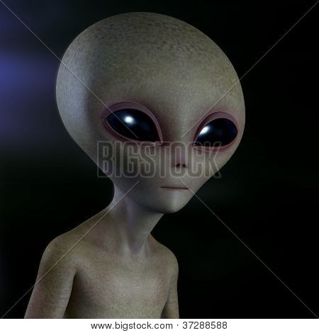 Šedá Alien
