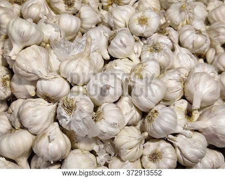 White Garlic Pile Texture. Fresh Garlic On Market Table Closeup Photo. White Garlic Head Heap Top Vi