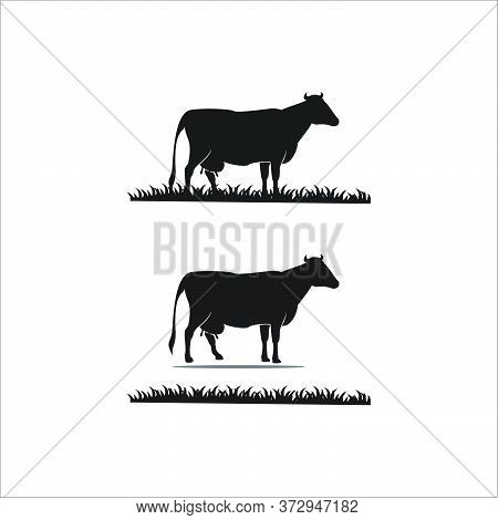 Dairy Cows Silhouette And Grass Vector Logo