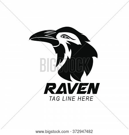 Raven Logo Design Vector Template Icon Symbol